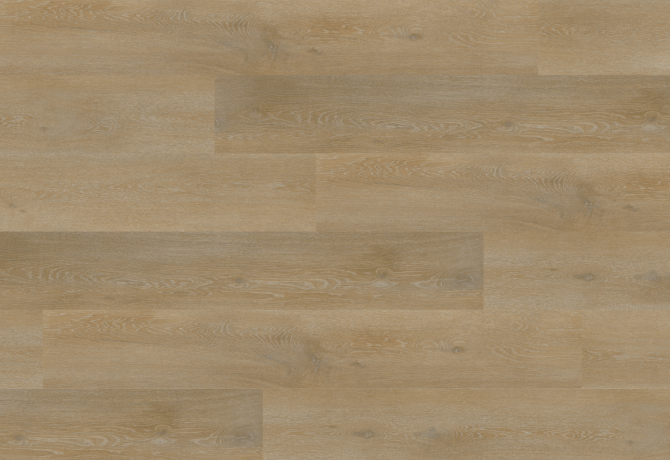 Oak marselan